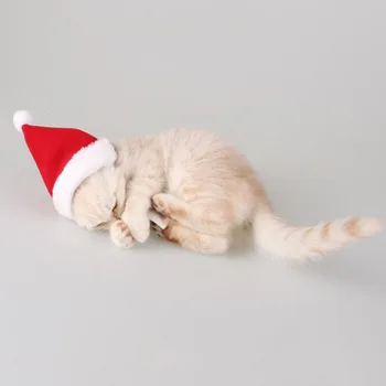 Muitošanas Pet Ziemassvētku Cosplay Smieklīgi Kostīms, Sarkana Konusveida Cepuri un Sarkanu Šalli Kopumu attiecībā uz Suņiem, Kaķiem