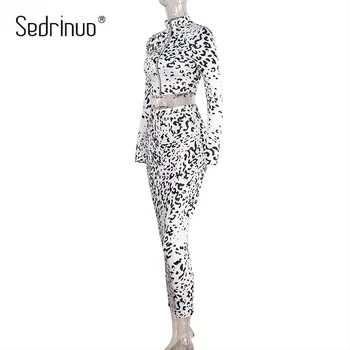 Sedrinuo Sievietēm/W Sexy Leopard Garām Piedurknēm 2 Gab. Komplekts Bodycon Kleita Izspēles Kakla Slim Augsts Viduklis Kleitas Clubwear Dāma Vestidos